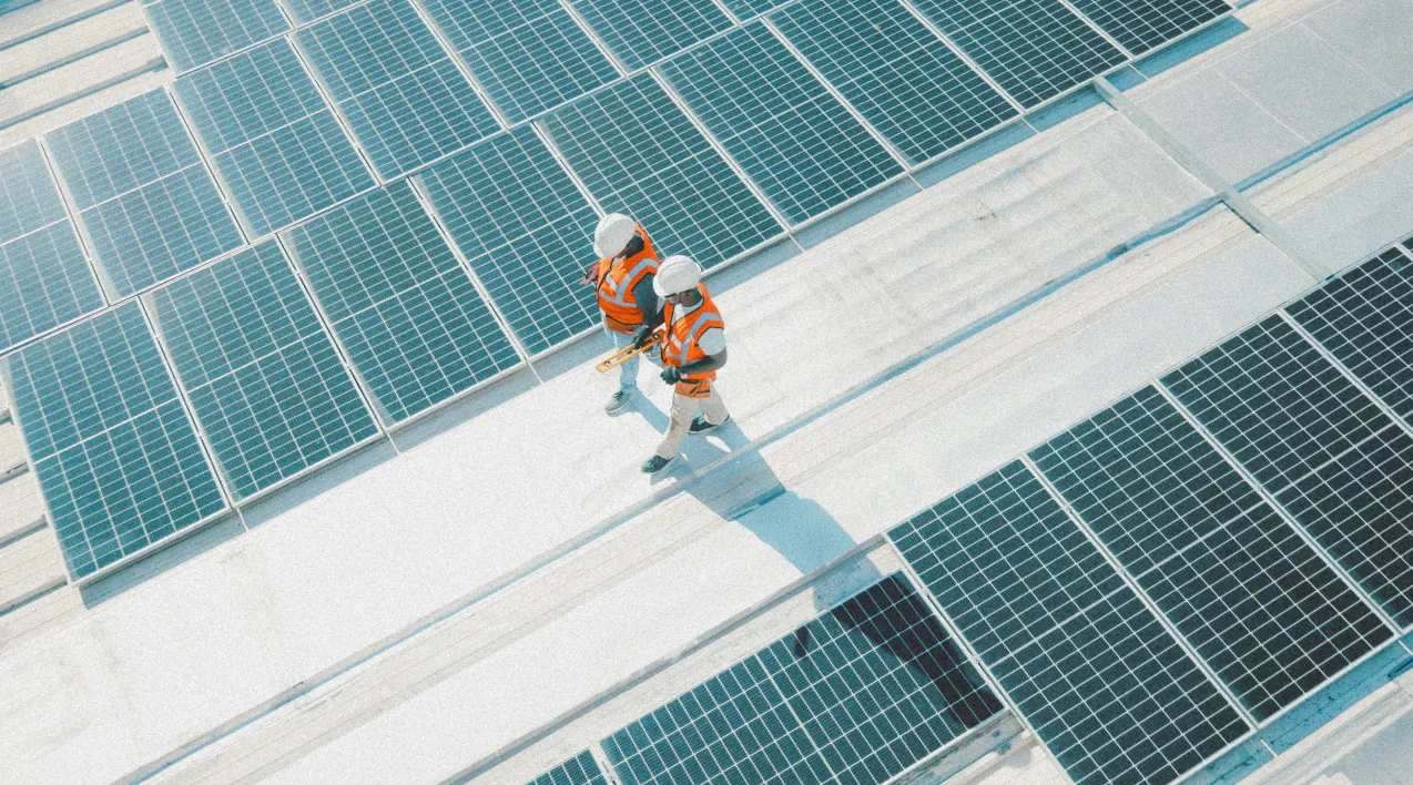 Two workers walking between solar panels