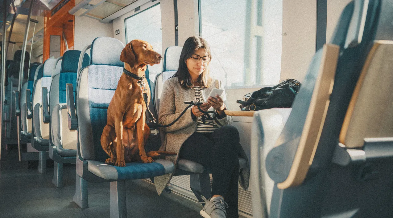 woman on public transportation with dog